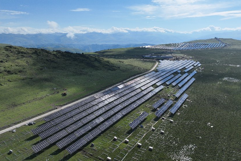 探訪海拔4000米光伏電站 “發電”“畜牧”如何兩不誤